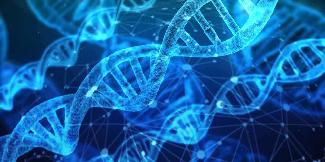 Dna