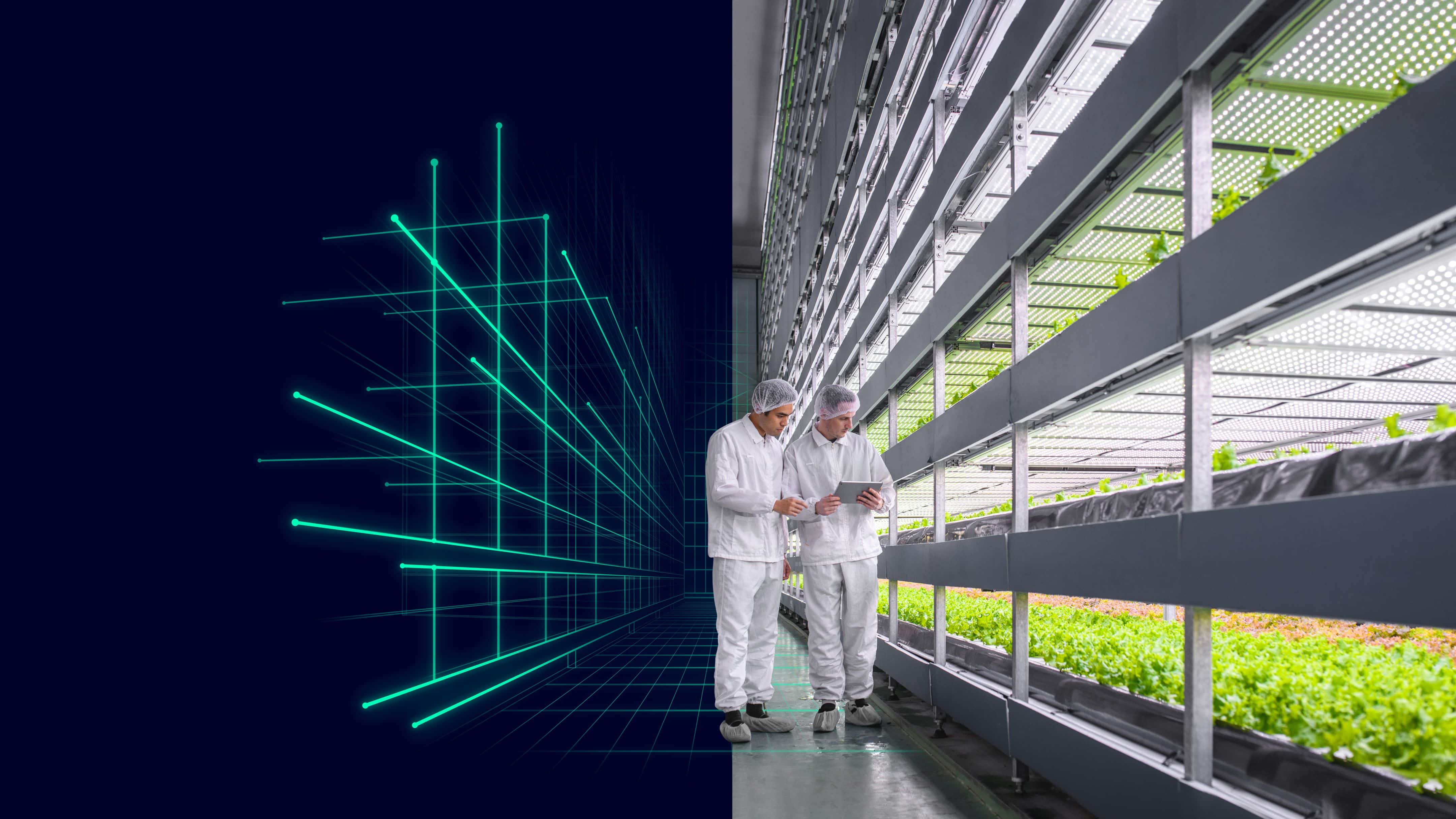 Visual-Vertical-Farming-App-HM23